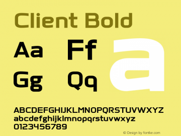 Client Bold Version 1.00图片样张