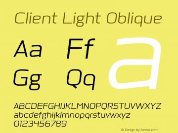 Client Light Oblique Version 1.00图片样张
