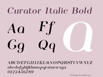 Curator-ItalicBold Version 1.000;PS 001.000;hotconv 1.0.88;makeotf.lib2.5.64775 Font Sample