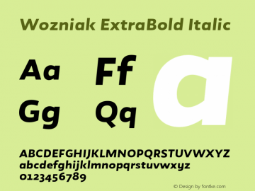 Wozniak-ExtraBoldItalic Version 1.005;PS 001.005;hotconv 1.0.88;makeotf.lib2.5.64775 Font Sample