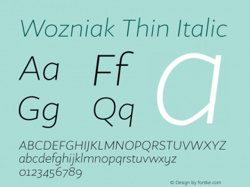 Wozniak Thin Italic Version 1.005;PS 001.005;hotconv 1.0.88;makeotf.lib2.5.64775图片样张