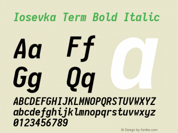 Iosevka Term Bold Italic 2.0.1图片样张