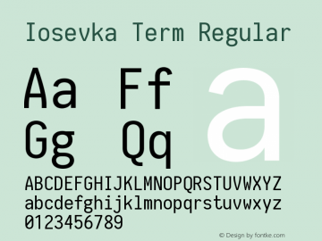 Iosevka Term 2.0.1 Font Sample