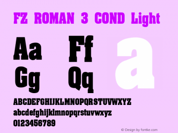 FZ ROMAN 3 COND Light 1.000图片样张