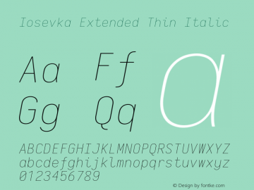 Iosevka Extended Thin Italic 2.3.0 Font Sample