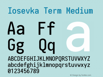 Iosevka Term Medium 2.3.0图片样张