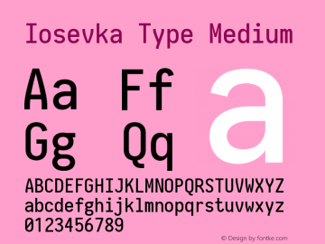 Iosevka Type Medium 2.3.0图片样张