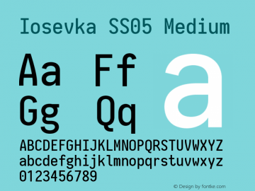 Iosevka SS05 Medium 2.3.0 Font Sample