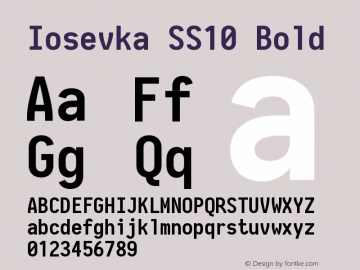 Iosevka SS10 Bold 2.3.0 Font Sample