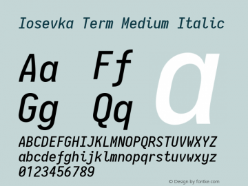 Iosevka Term Medium Italic 2.3.0; ttfautohint (v1.8.3)图片样张