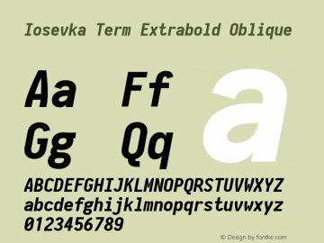 Iosevka Term Extrabold Oblique 2.3.0; ttfautohint (v1.8.3)图片样张
