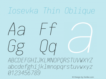 Iosevka Thin Oblique 2.3.0; ttfautohint (v1.8.3) Font Sample