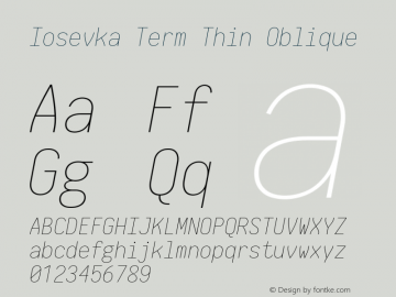 Iosevka Term Thin Oblique 2.3.0; ttfautohint (v1.8.3)图片样张