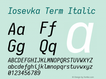 Iosevka Term Italic 2.3.0; ttfautohint (v1.8.3)图片样张