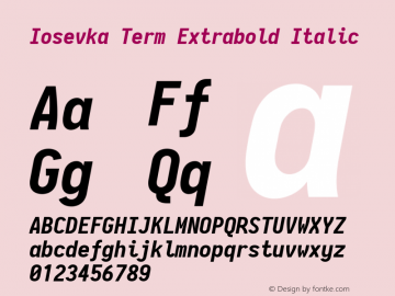 Iosevka Term Extrabold Italic 2.3.0; ttfautohint (v1.8.3)图片样张