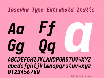 Iosevka Type Extrabold Italic 2.3.0; ttfautohint (v1.8.3)图片样张