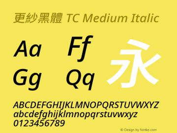更紗黑體 TC Medium Italic  Font Sample