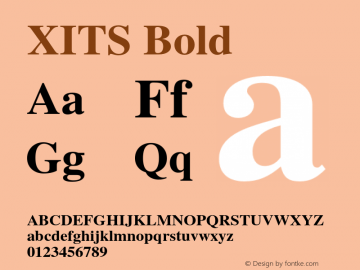 XITS Bold Version 1.300 Font Sample