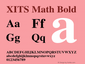 XITS Math Bold Version 1.300 Font Sample