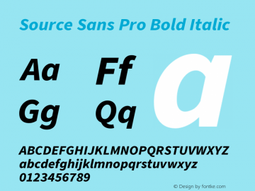 Source Sans Pro Bold Italic Version 3.006;hotconv 1.0.111;makeotfexe 2.5.65597 Font Sample