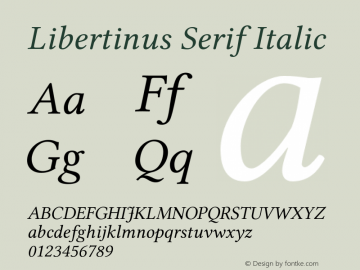 Libertinus Serif Italic Version 6.11图片样张
