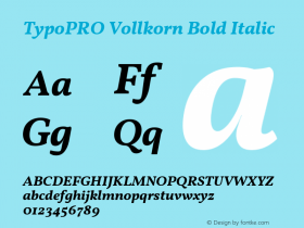 TypoPRO Vollkorn Bold Italic Version 4.105图片样张