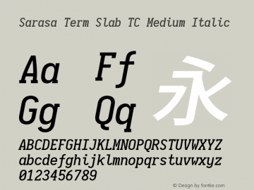 Sarasa Term Slab TC Medium Italic 图片样张