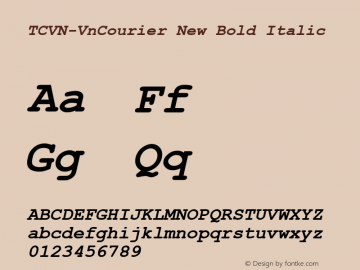 TCVN-VnCourier New Bold Italic MS core font:v1.00图片样张