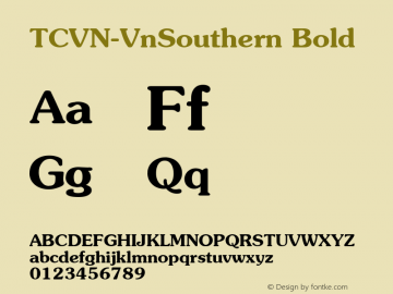 TCVN-VnSouthern Bold 1.0 Thu Feb 10 22:58:31 1994图片样张