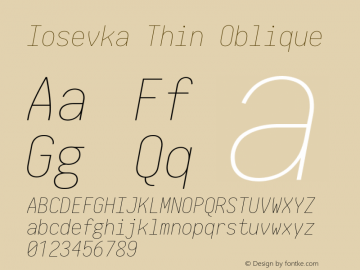 Iosevka Thin Oblique 2.3.1 Font Sample