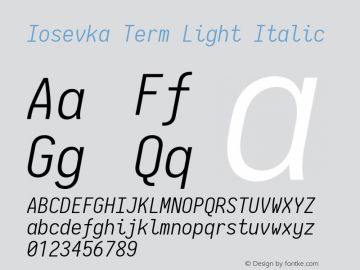 Iosevka Term Light Italic 2.3.1图片样张