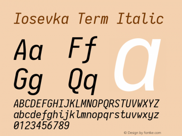 Iosevka Term Italic 2.3.1图片样张