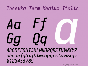 Iosevka Term Medium Italic 2.3.1图片样张
