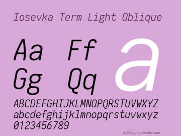 Iosevka Term Light Oblique 2.3.1图片样张