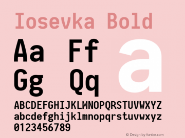 Iosevka Bold 2.3.1; ttfautohint (v1.8.3) Font Sample