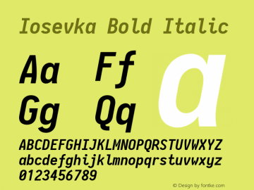 Iosevka Bold Italic 2.3.1; ttfautohint (v1.8.3)图片样张