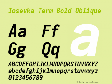 Iosevka Term Bold Oblique 2.3.1; ttfautohint (v1.8.3)图片样张