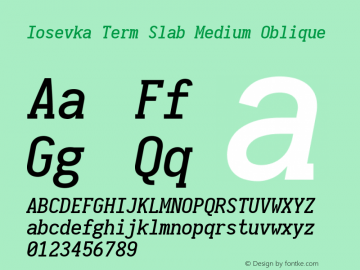 Iosevka Term Slab Medium Oblique 2.3.1; ttfautohint (v1.8.3)图片样张