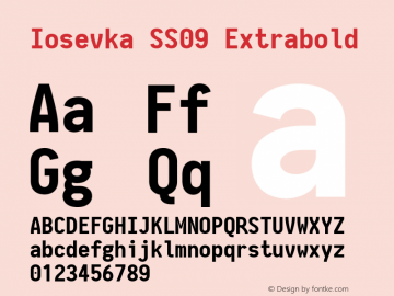 Iosevka SS09 Extrabold 2.3.1; ttfautohint (v1.8.3) Font Sample