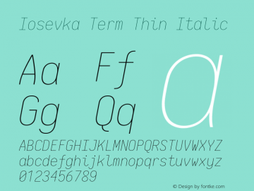 Iosevka Term Thin Italic 2.3.1; ttfautohint (v1.8.3)图片样张