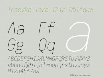 Iosevka Term Thin Oblique 2.3.1; ttfautohint (v1.8.3)图片样张