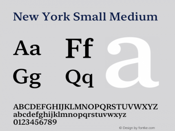 New York Small Medium Version 15.0d4e34 Font Sample