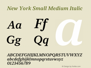 New York Small Medium Italic Version 15.0d4e34图片样张