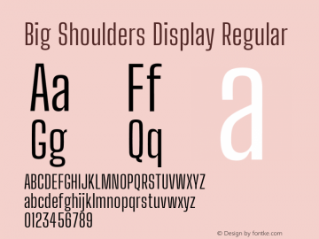 Big Shoulders Display Regular Version 1.000; ttfautohint (v1.8.2)图片样张