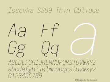 Iosevka SS09 Thin Oblique 2.3.2 Font Sample