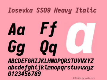 Iosevka SS09 Heavy Italic 2.3.2 Font Sample