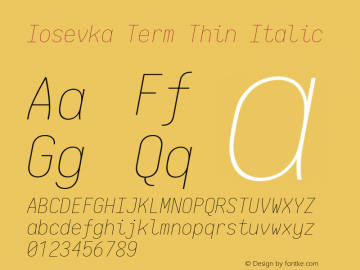 Iosevka Term Thin Italic 2.3.2; ttfautohint (v1.8.3)图片样张