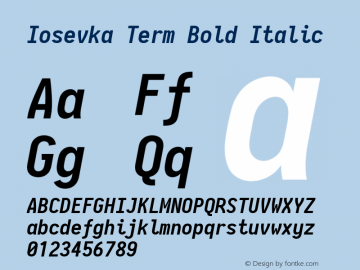 Iosevka Term Bold Italic 2.3.2; ttfautohint (v1.8.3)图片样张