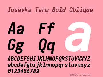 Iosevka Term Bold Oblique 2.3.2; ttfautohint (v1.8.3)图片样张