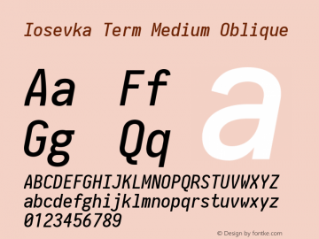 Iosevka Term Medium Oblique 2.3.2图片样张